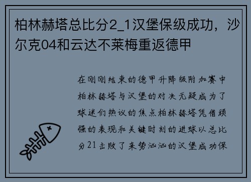 柏林赫塔总比分2_1汉堡保级成功，沙尔克04和云达不莱梅重返德甲