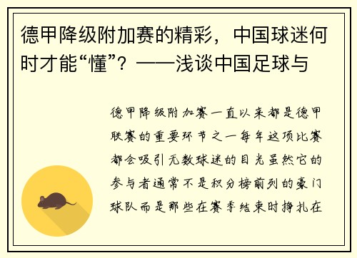 德甲降级附加赛的精彩，中国球迷何时才能“懂”？——浅谈中国足球与德甲文化差异