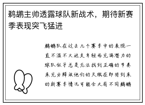鹈鹕主帅透露球队新战术，期待新赛季表现突飞猛进